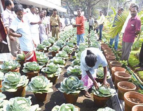 GCDA Gets Pat from Leelavathy Teacher for Its Green Initiative