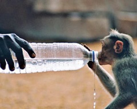 Help Others, Serve God