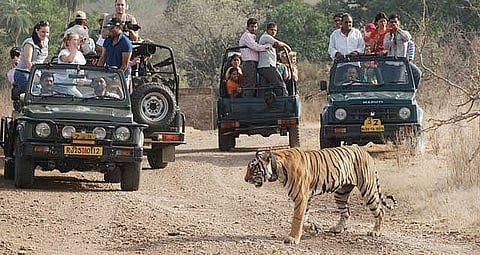 Far From Madding Courts, Delhi Judges to Unwind in Corbett Safari