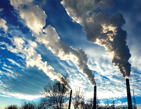 We Protect the Environment or Perish with It