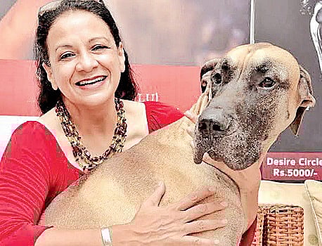 All Work Plus One Play