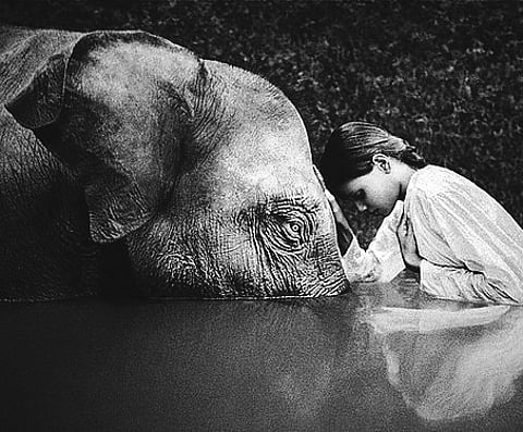 Let Love Prevail, Not Anger