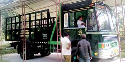 Ambulance Service for Hurt Wild Jumbos