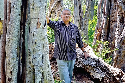 Green Valley of Learning