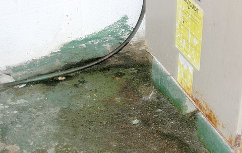 Boxes Become Breeding Ground for Mosquitoes