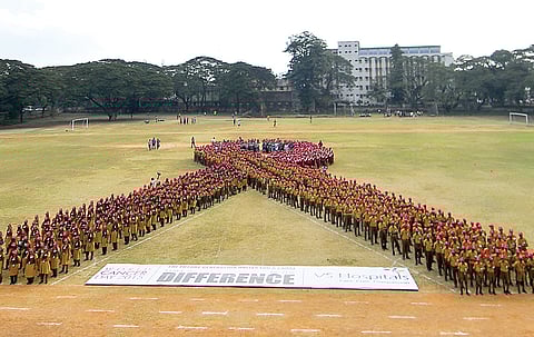 Stitching Happiness, One Real Wig at a Time