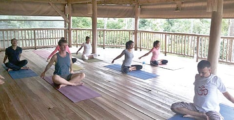 Face to Face with Mansi