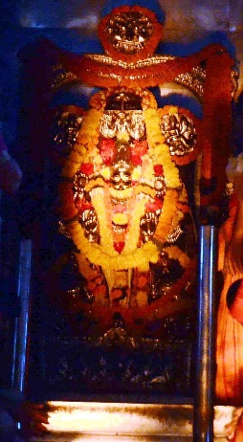 Sun Rays Illuminate Lord Surya Narayana at Arasavilli