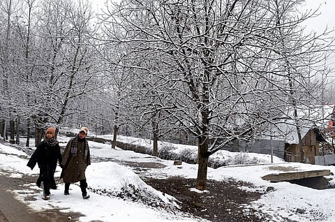 Two residents walk the streets on a snowy day in Srinagar. (PTI)