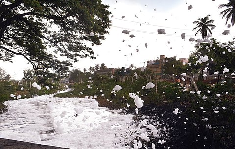 Varthur Lake Turns a Swirling Mess