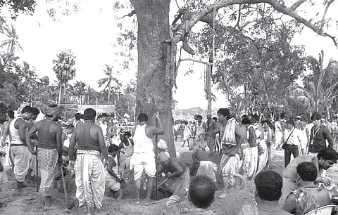 Daru Chhedana for Nabakalebara Ends