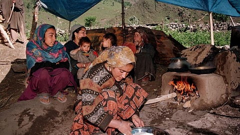 Refugees from the Dras sector prepare rice under a tent in a makeshift refugee camp about 70 kilometres north-east of Srinagar. Representative image.