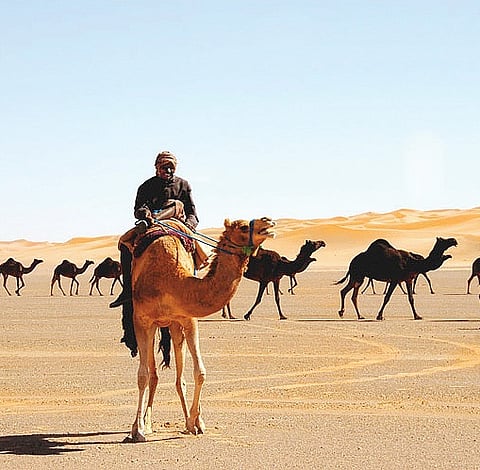 Game of Thrones in Desert Kingdom