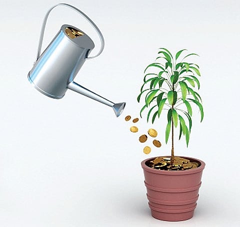 The Financial Quotient