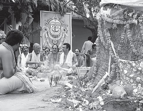 Daru for Subhadra Felled amid Religious Fervour