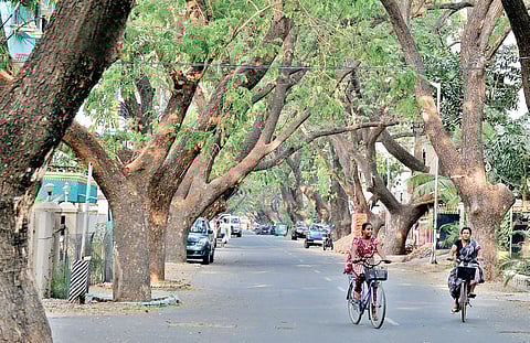 Will Purasawalkam Get its Purasai Back?