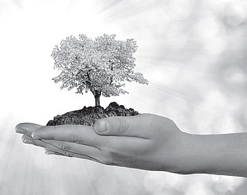 Satiate Your Physical Needs