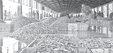 Fish May go off Aam Aadmi's Menu