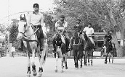 Horseback Safari on City Roads Seeks to Kindle Interest in Riding