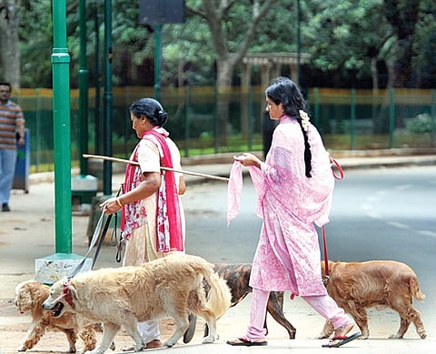Pet Entry into Cubbon Park Debated