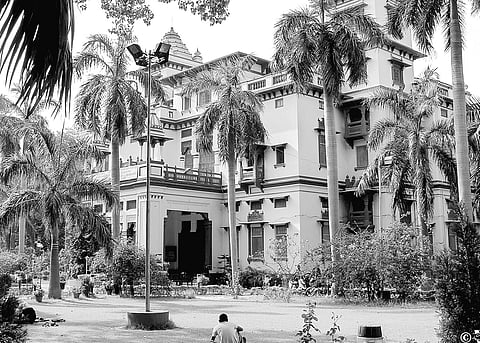 'We are to Blame for Surge of Viruses'