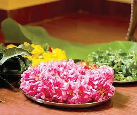 The Flowering of Our Consciousness