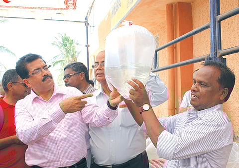 Now, Get a Taste of Hilsa With 'Milk Fish'