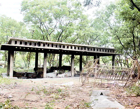 Rowdies Haunt Amanankuttai Graveyard