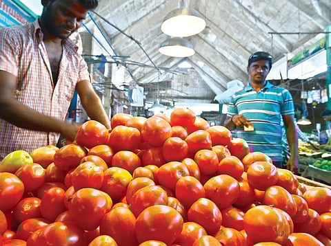 25 paise per a kg? Farmers dump tomatoes on National Highway