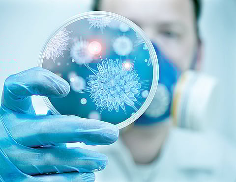 Germany, a Hotspot for Research Programmes