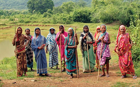 Guardian Angels of an Odisha Forest
