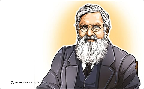 Wallace: Darwin's Rival And Admirer