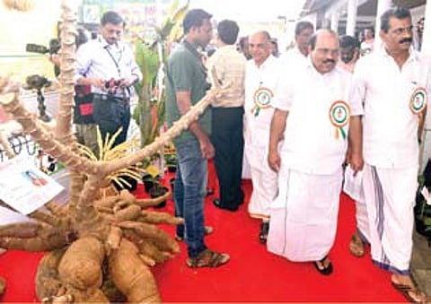 'Steps Needed to Ensure Quality of Organic Products'