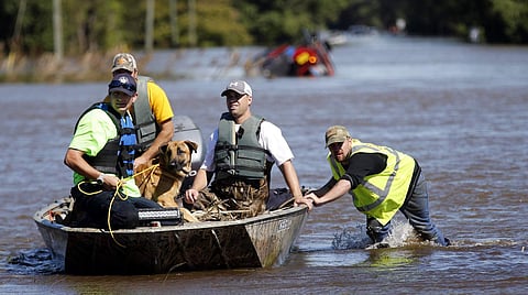 South Edgecombe Fire and Rescue workers rescue several dogs that were trapped in homes flooded by rising water from Town Creek in Pinetops | AP