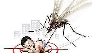 Japanese Encephalitis | Image for representational purposes only.
