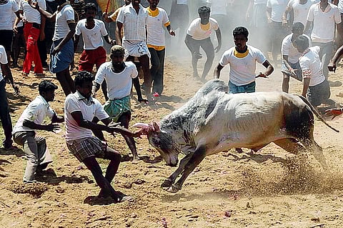 Representation image | File pic