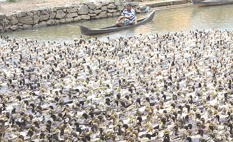 Image used for representational purposes.