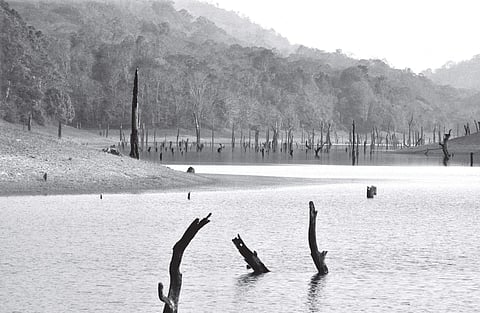 A view of Mullaperiyar catchment area and reservoir| Vincent PulickaL
