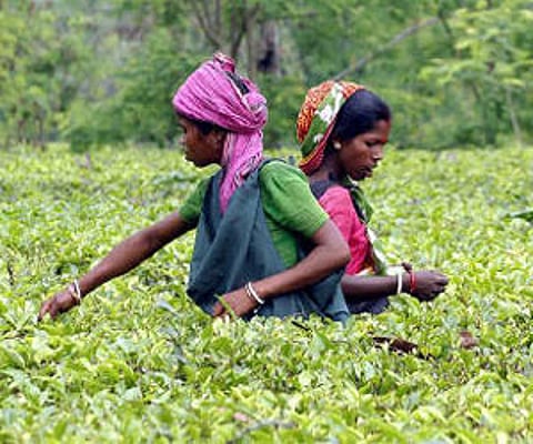 Representational image only. | Reuters