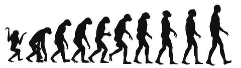 Taught evolution to students? You're fired