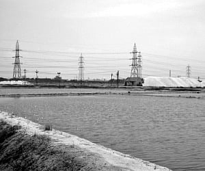 The salt pans in Thoothukudi. (File photo | EPS)