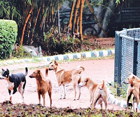 Image used for representational purpose only