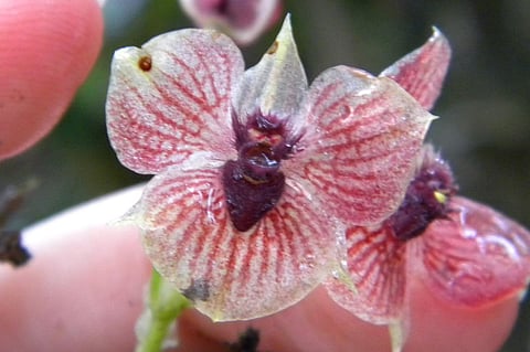 Image used for representational purpose only.