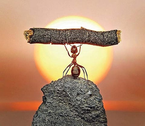 Use your inner flame to overcome laziness