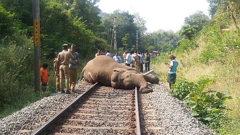 Image used for representational purposes only.