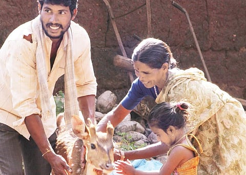 Karnataka family bids painful goodbye to deer they nurtured for two years