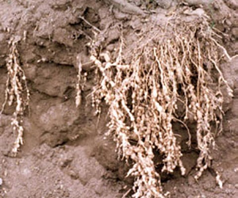 Image used for representational purpose only.