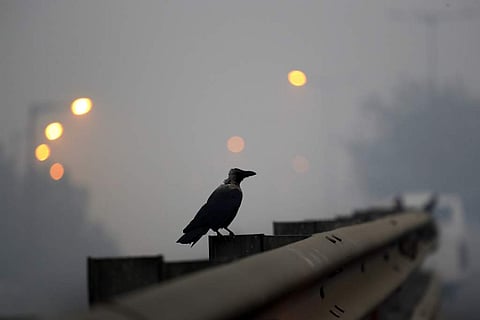 A crow sits on the railing of an overpass amidst the smog. (FileAP)