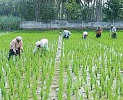 Image used for representational purpose.