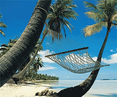 Image for representational purpose only.